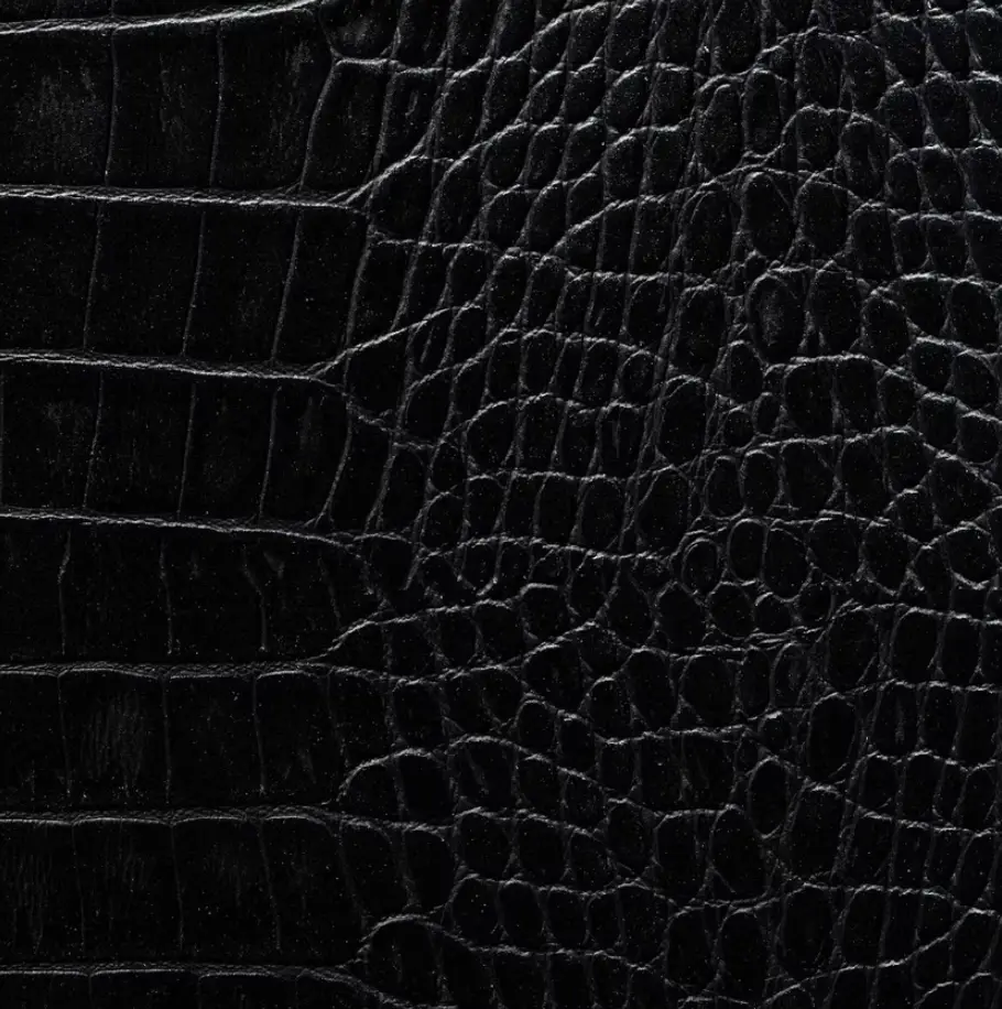 Coal-Crocodile