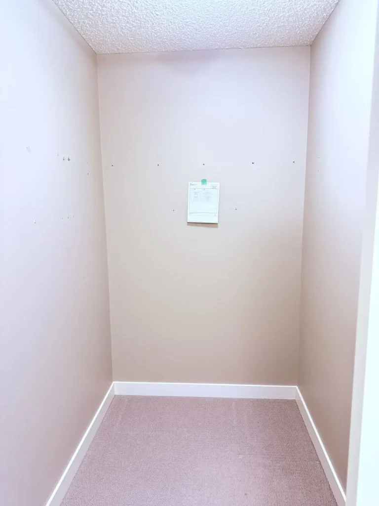 Walk-in closet in Devon before Famille Closets installation